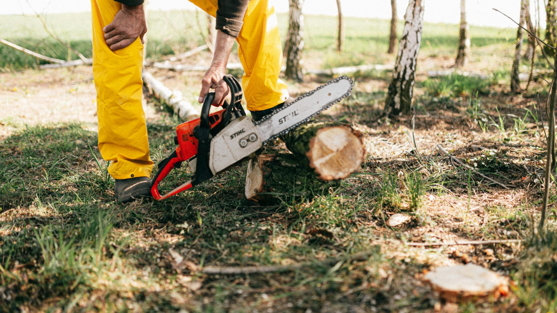 Bûcheron en tenue jaune utilisant une tronçonneuse pour couper une bûche d'arbre dans un cadre forestier ensoleillé.
