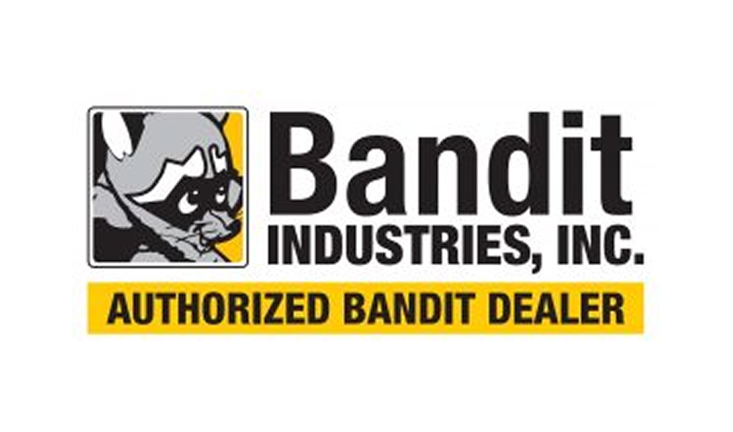 bandit