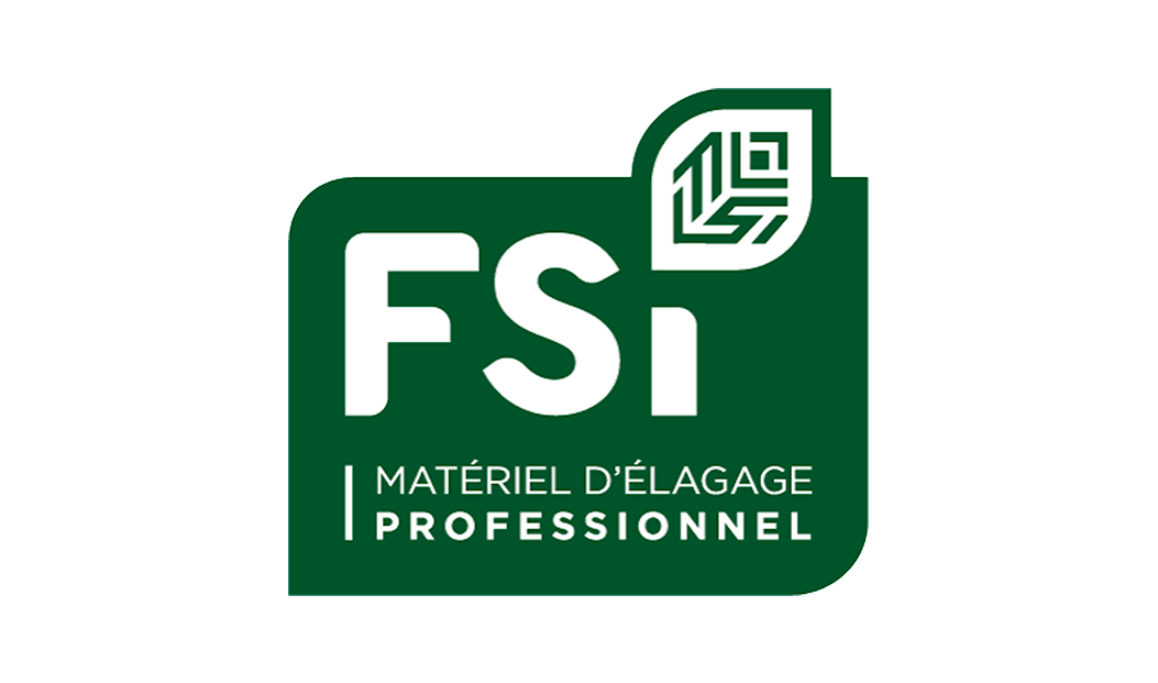 fsi